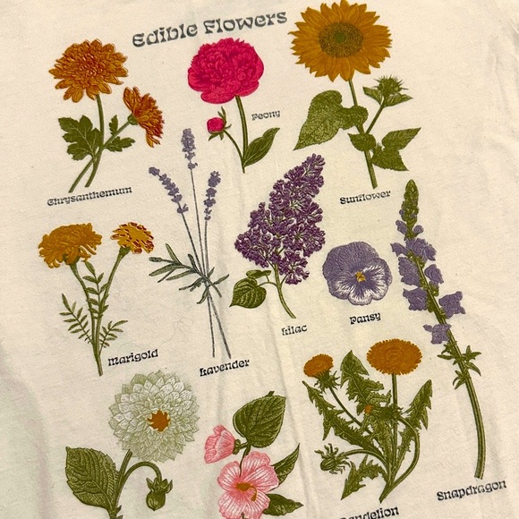 Edible Flowers Print Juniors T-Shirt - Cream - Size Large L - Picture 5 of 8